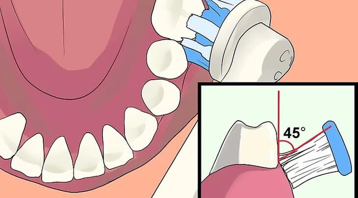 Đặt bàn chải điện đánh răng theo hướng viền nướu