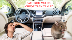 Bật Mí 6 Cách Khử Mùi Hôi Chuột Trong Xe Ô Tô Đảm Bảo Hết Mùi Khó Chịu